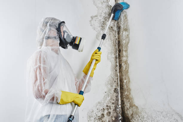 Water Damage Restoration in Preston, ID