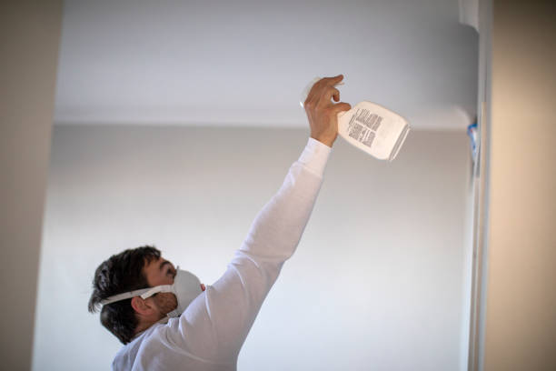 Best Best Mold Removal Companies  in Preston, ID