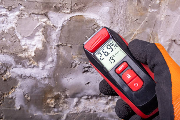 Best Local Mold Removal Service  in Preston, ID