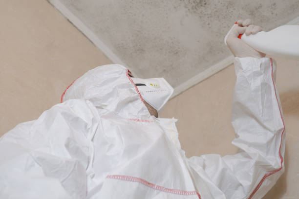 Best Mold Testing  in Preston, ID