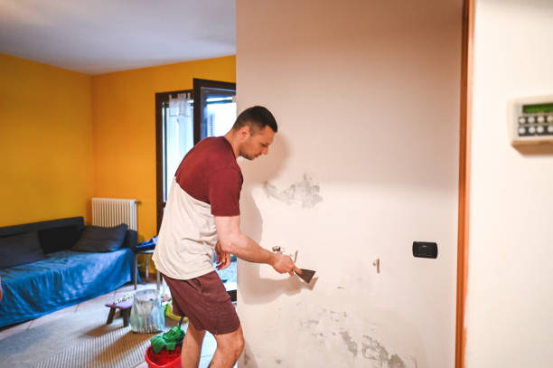 Best Emergency Mold Removal  in Preston, ID